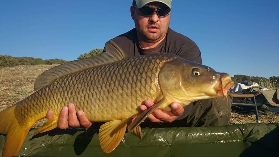 O toamnă târzie.  - fbimg1450554799610.jpg